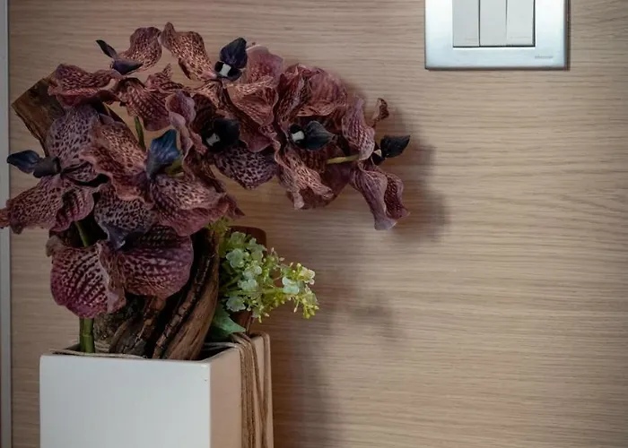 Tre Colline * Бардолино